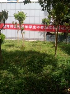 a photo obtained from china