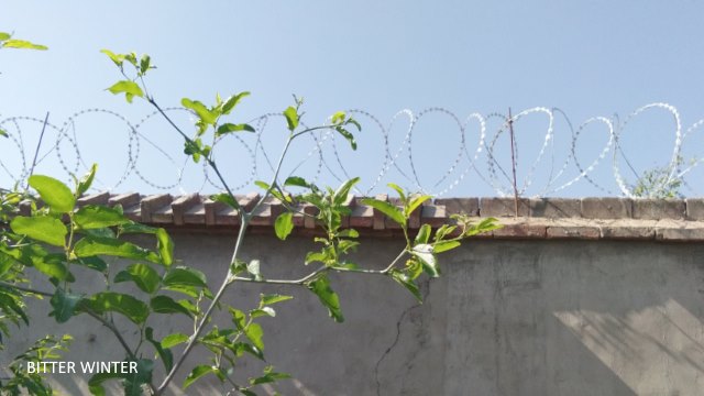 Rete metallica di sicurezza