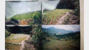 Le terre agricole sotto la miniera