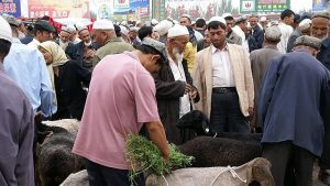 Kashgar Uyghur People