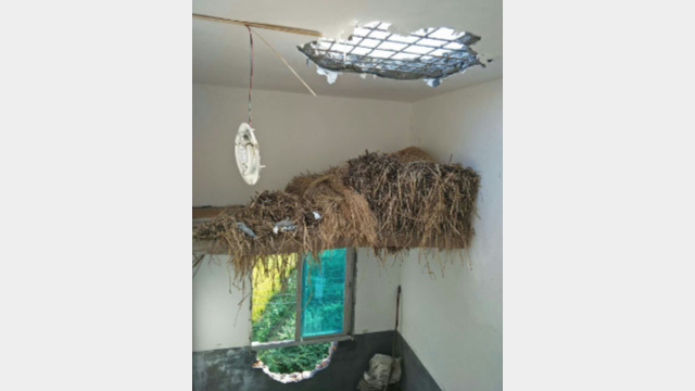 Un grande buco aperto sul soffitto