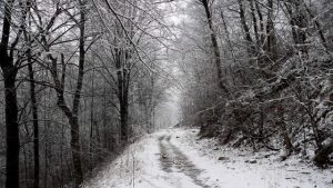 sentiero di montagna ghiacciato