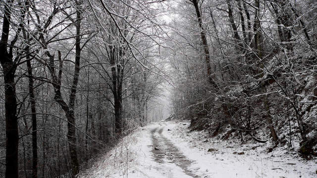 sentiero di montagna ghiacciato