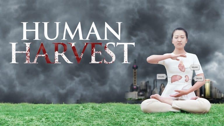Human Harvest