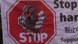 Organi per trapianti: fiorisce l'industria degli espianti illegali