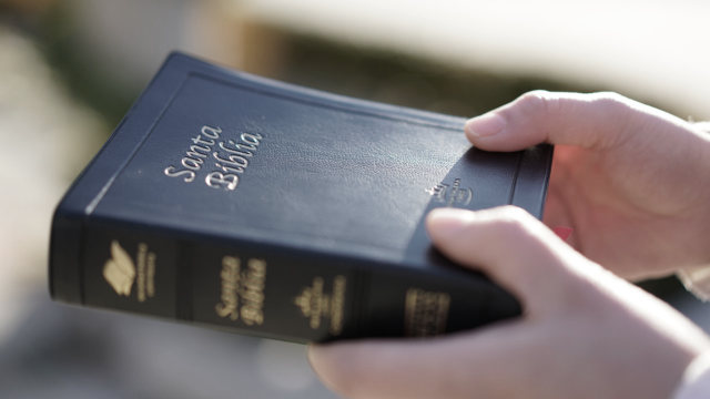la bibbia