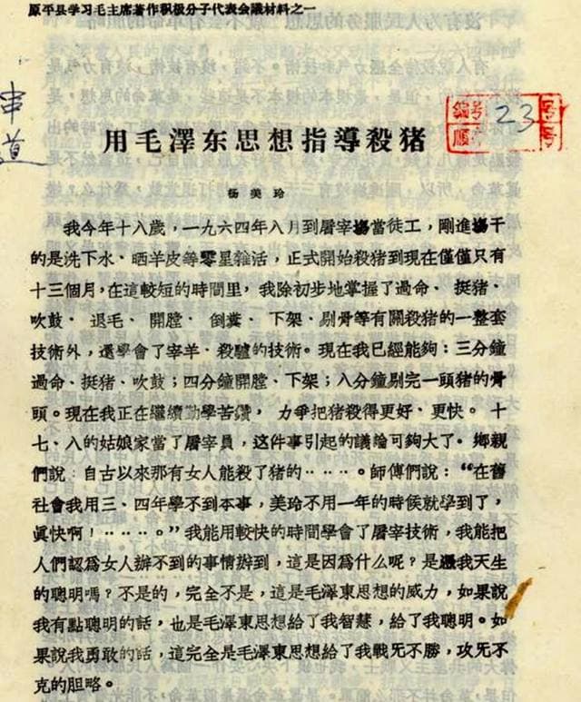 Using Mao Zedong Thought
