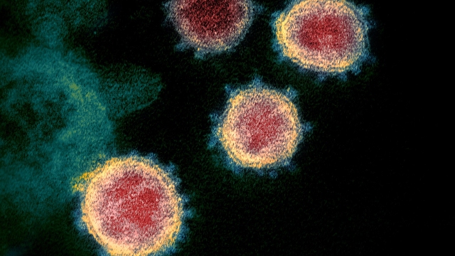 Il virus responsabile del COVID-19