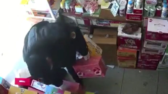 hanno saccheggiato gli oggetti di valore