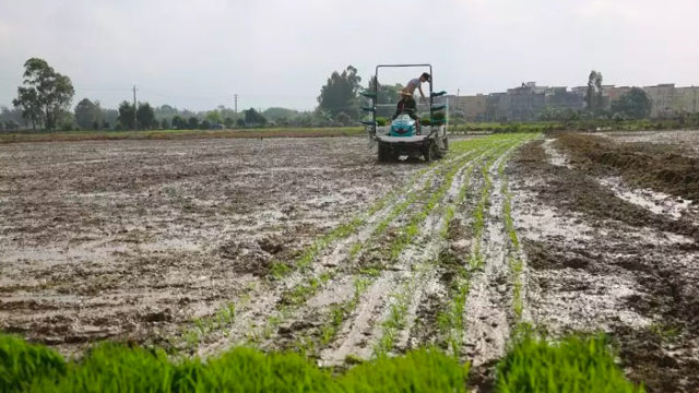 Agricoltori al lavoro