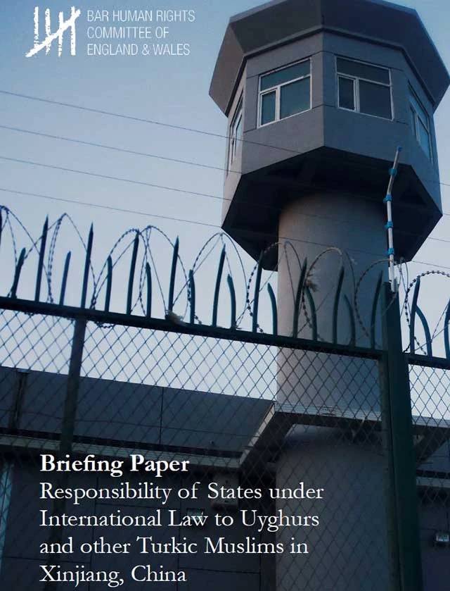 La copertina del rapport
